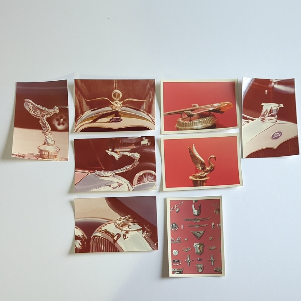 Lot Of 8 Ephemera Photos Of Car Ornaments Badges And Emblems Swan Flying Bird